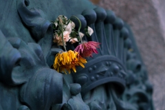 DSCF3637